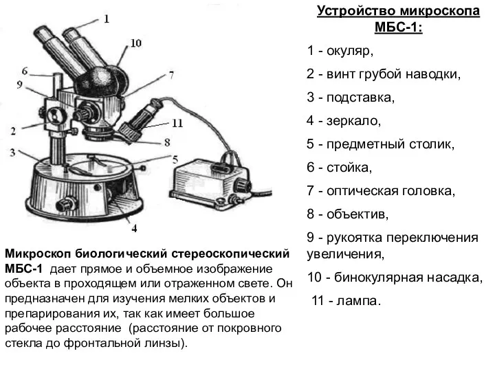 Устройство микроскопа МБС-1: 1 - окуляр, 2 - винт грубой наводки, 3 -