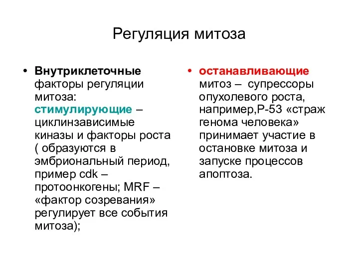 Регуляция митоза Внутриклеточные факторы регуляции митоза: стимулирующие – циклинзависимые киназы