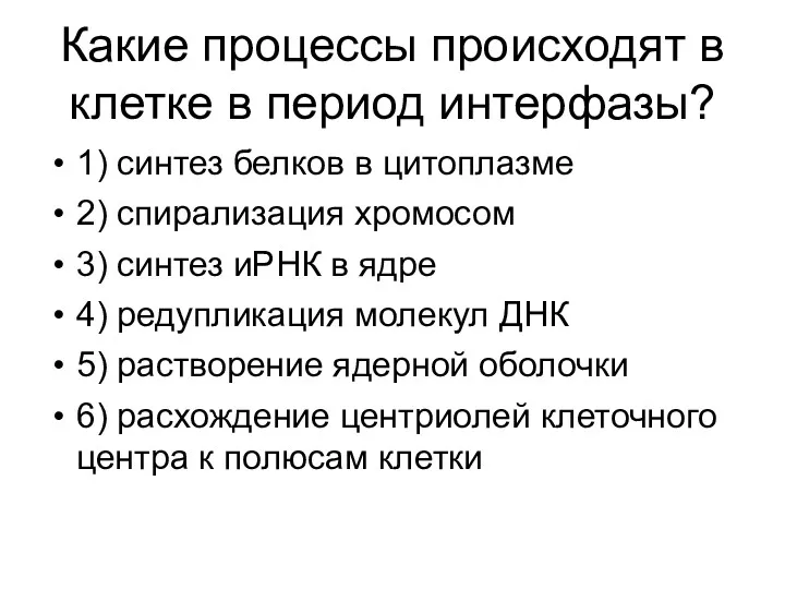 Какие процессы происходят в клетке в период интерфазы? 1) синтез белков в цитоплазме