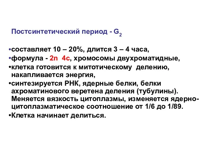 Постсинтетический период - G2 составляет 10 – 20%, длится 3 – 4 часа,