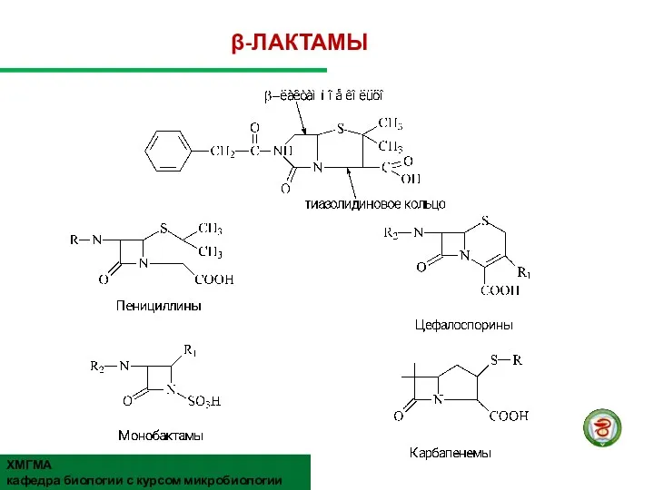 β-ЛАКТАМЫ ХМГМА кафедра биологии с курсом микробиологии