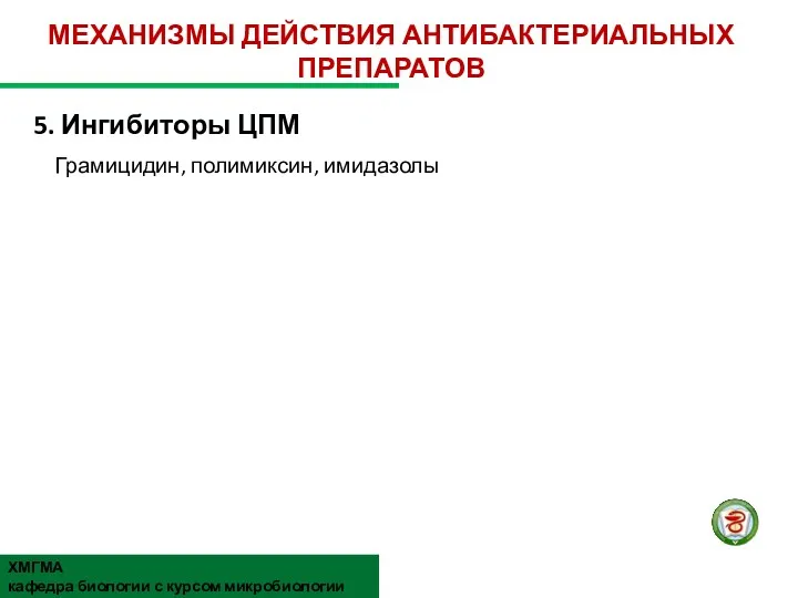 Ингибиторы ЦПМ Грамицидин, полимиксин, имидазолы ХМГМА кафедра биологии с курсом микробиологии МЕХАНИЗМЫ ДЕЙСТВИЯ АНТИБАКТЕРИАЛЬНЫХ ПРЕПАРАТОВ