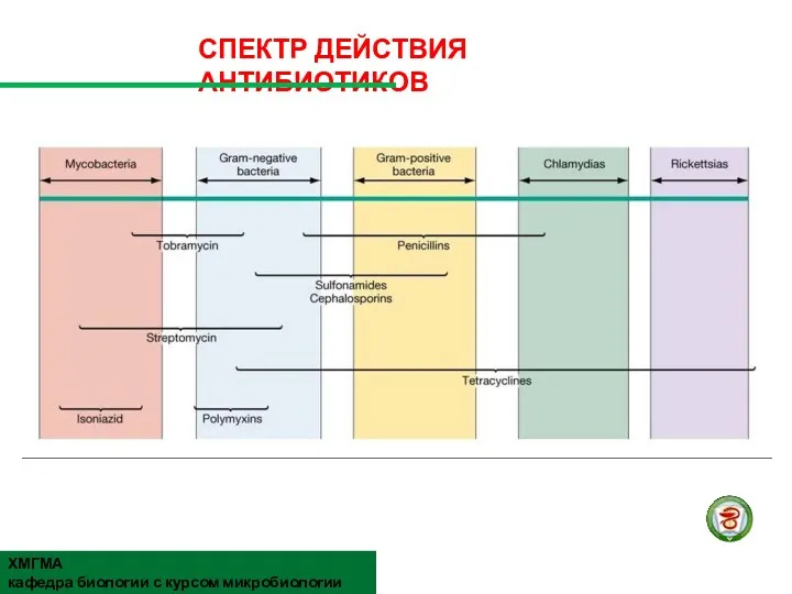 СПЕКТР ДЕЙСТВИЯ АНТИБИОТИКОВ ХМГМА кафедра биологии с курсом микробиологии