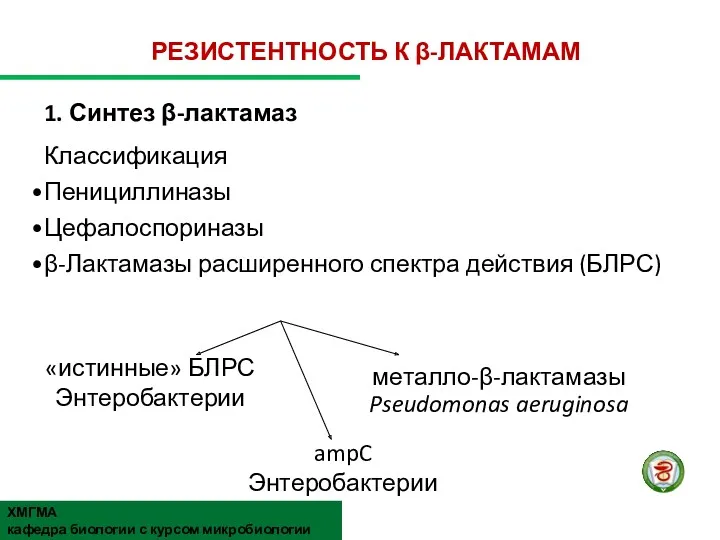 РЕЗИСТЕНТНОСТЬ К β-ЛАКТАМАМ 1. Синтез β-лактамаз Классификация Пенициллиназы Цефалоспориназы β-Лактамазы