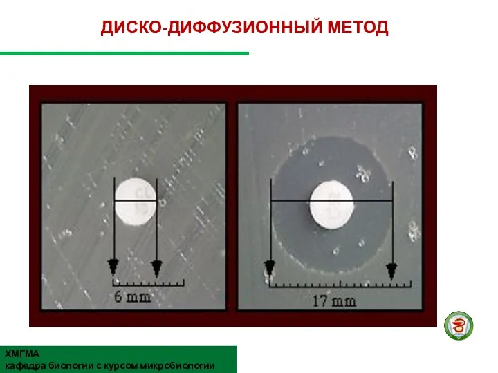 ДИСКО-ДИФФУЗИОННЫЙ МЕТОД ХМГМА кафедра биологии с курсом микробиологии