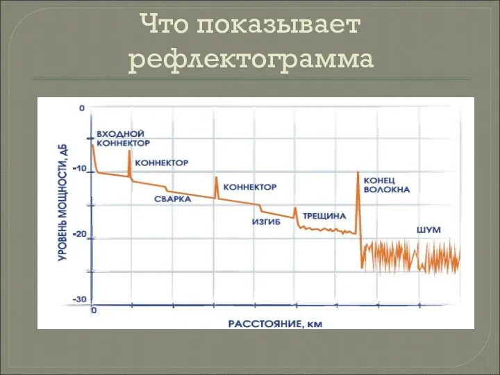 Что показывает рефлектограмма