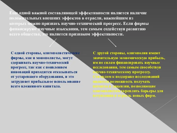 Еще одной важной составляющей эффективности является наличие положительных внешних эффектов