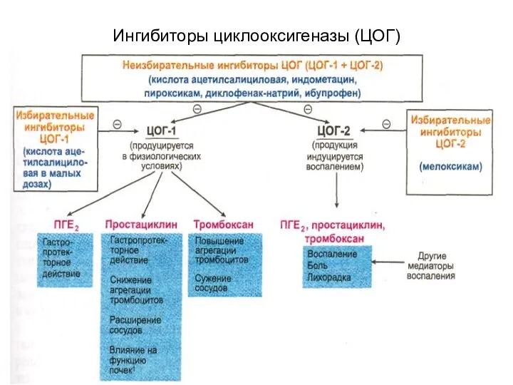 Ингибиторы циклооксигеназы (ЦОГ)