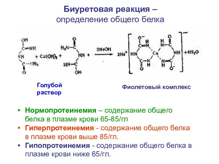 Биуретовая реакция – определение общего белка Фиолетовый комплекс Голубой раствор