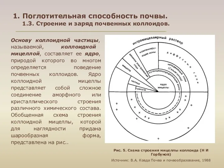 Основу коллоидной частицы, называемой, коллоидной мицеллой, составляет ее ядро, природой