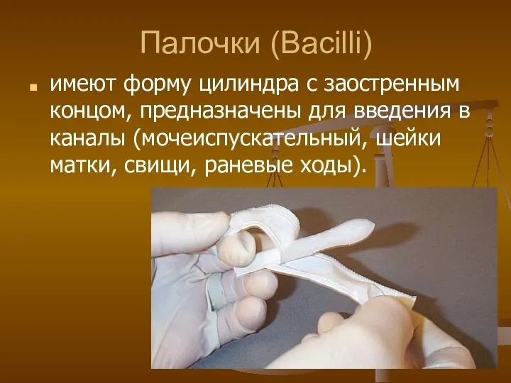 Палочки (Bacilli) имеют форму цилиндра с заостренным концом, предназначены для