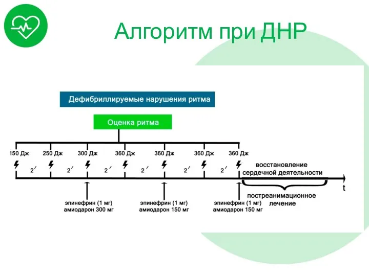 Алгоритм при ДНР