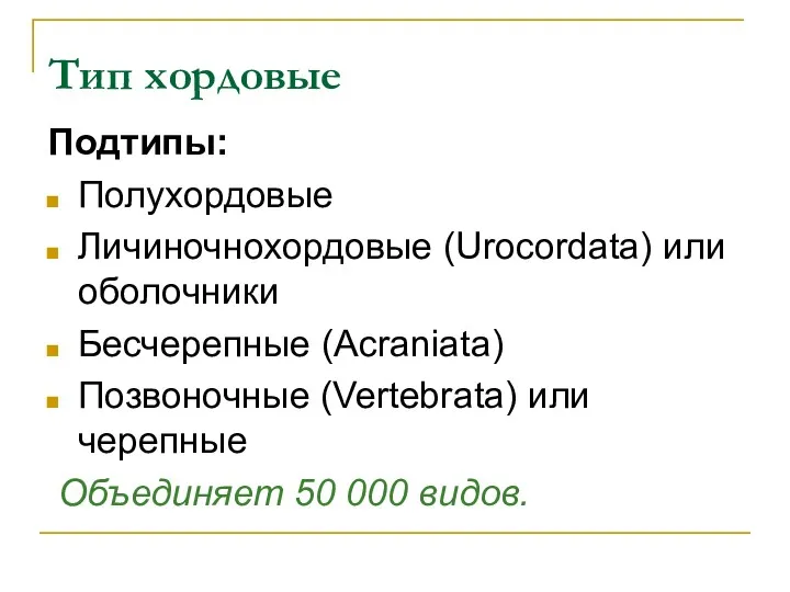 Тип хордовые Подтипы: Полухордовые Личиночнохордовые (Urocordata) или оболочники Бесчерепные (Acraniata)