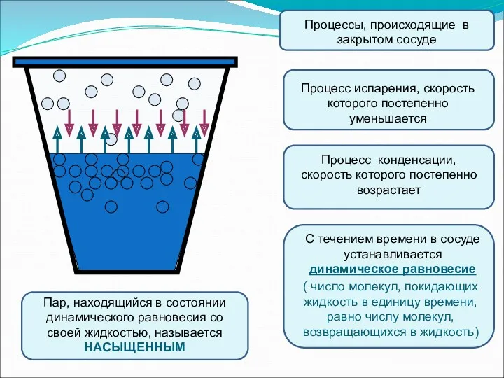 Процессы, происходящие в закрытом сосуде Процесс испарения, скорость которого постепенно уменьшается Процесс конденсации,