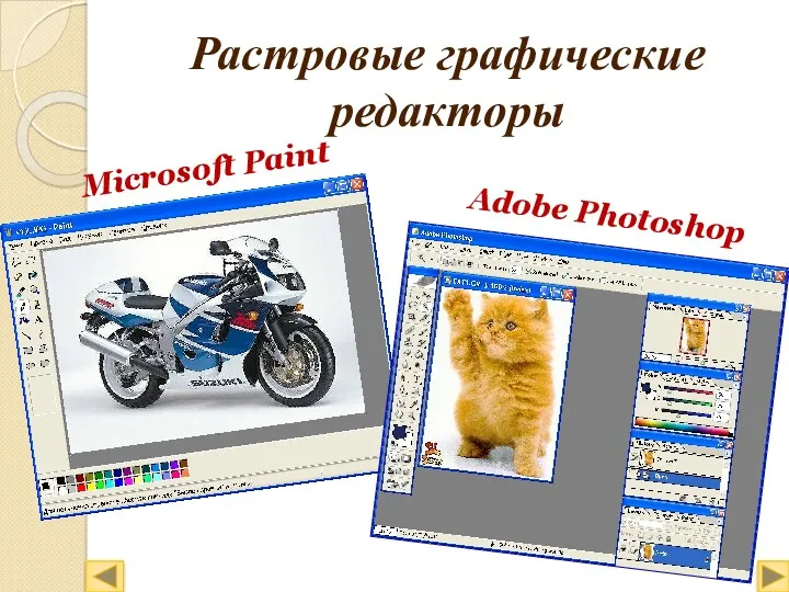 Растровые графические редакторы Microsoft Paint Adobe Photoshop