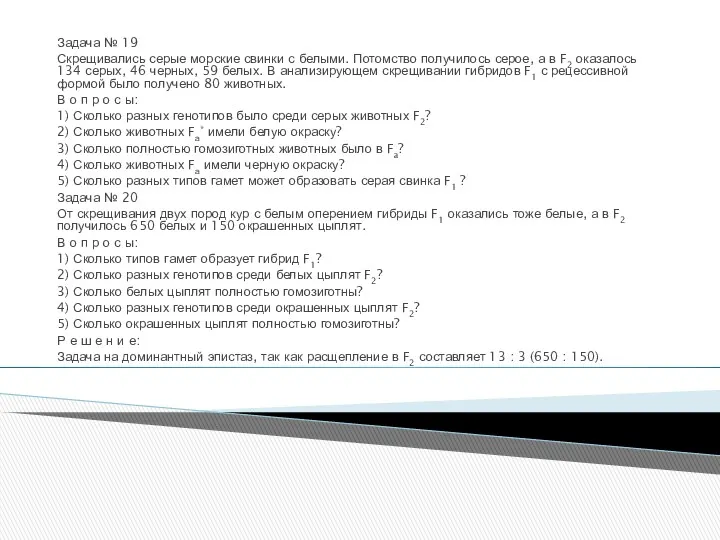 Задача № 19 Скрещивались серые морские свинки с белыми. Потомство