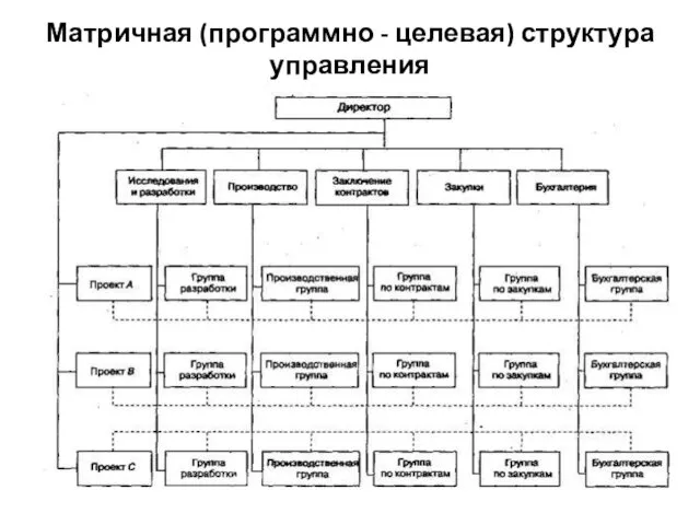 Матричная (программно - целевая) структура управления