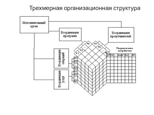 Трехмерная организационная структура