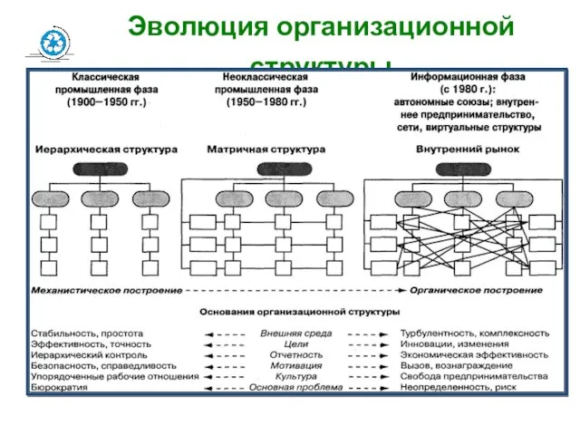 Эволюция организационной структуры Структура организации