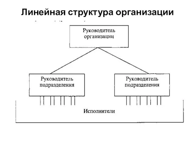 Линейная структура организации