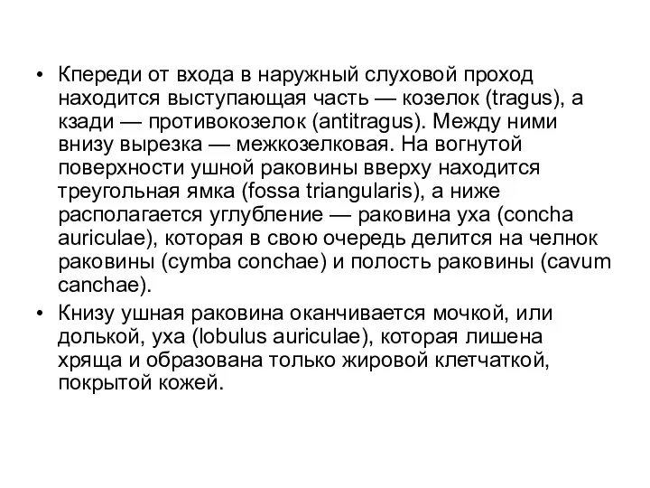 Кпереди от входа в наружный слуховой проход находится выступающая часть