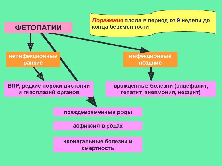 Поражения плода в период от 9 недели до конца беременности