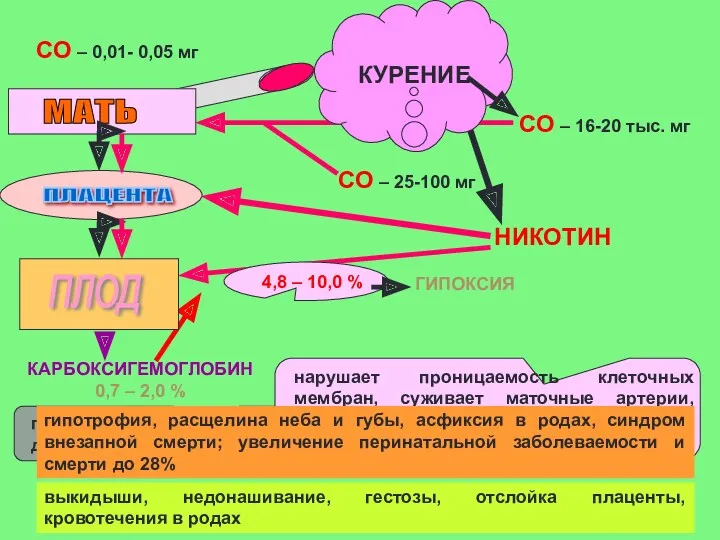 подавляет дыхательные движения плода нарушает проницаемость клеточных мембран, суживает маточные