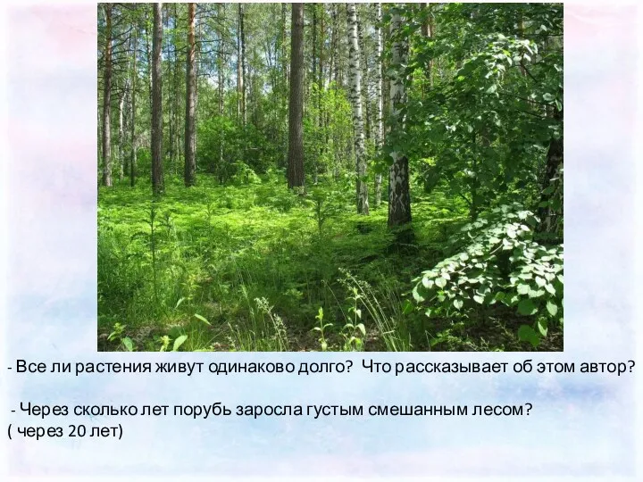 - Все ли растения живут одинаково долго? Что рассказывает об