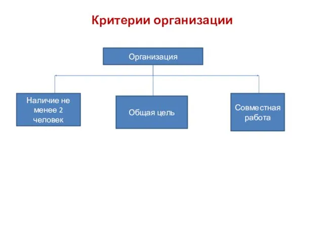 Критерии организации Организация Наличие не менее 2 человек Общая цель Совместная работа