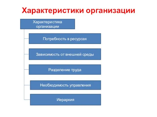 Характеристики организации Характеристика организации Потребность в ресурсах Зависимость от внешней среды Разделение труда Необходимость управления Иерархия