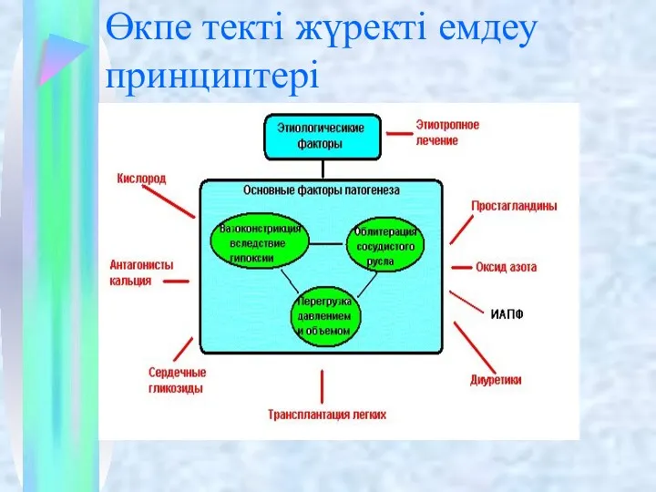 Өкпе текті жүректі емдеу принциптері