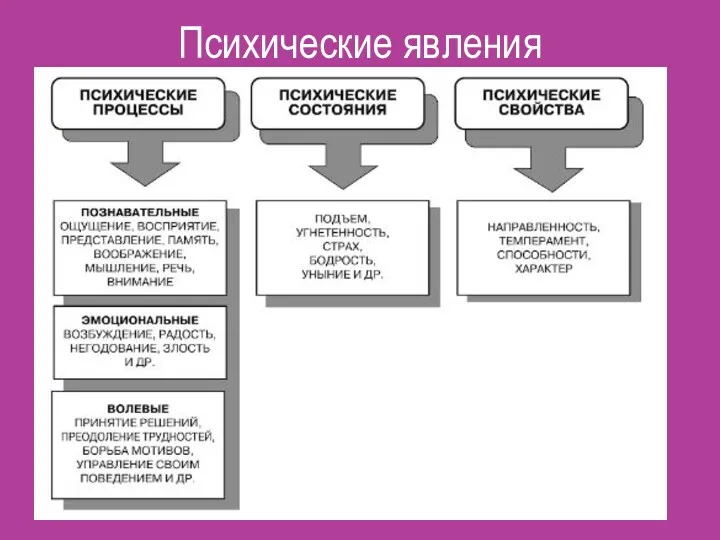 Психические явления