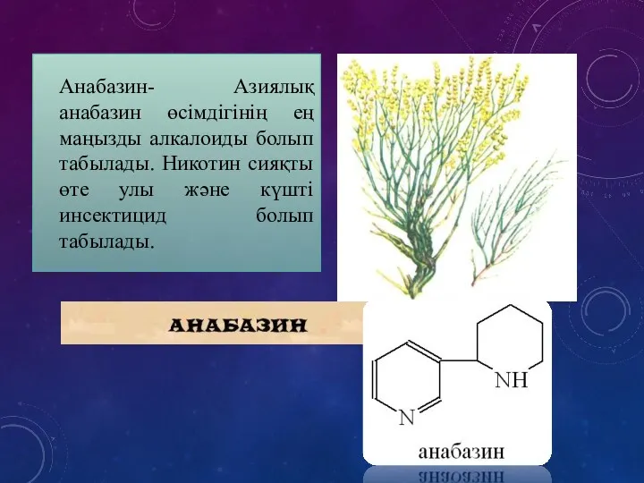 Анабазин- Азиялық анабазин өсімдігінің ең маңызды алкалоиды болып табылады. Никотин