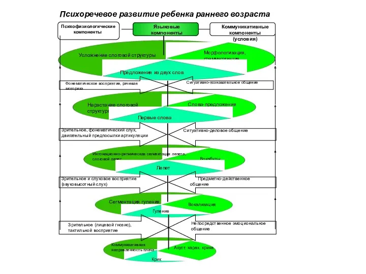 Психоречевое развитие ребенка раннего возраста Крик Акуст. харак. крика Коммуникативная направленность плача Вокализация