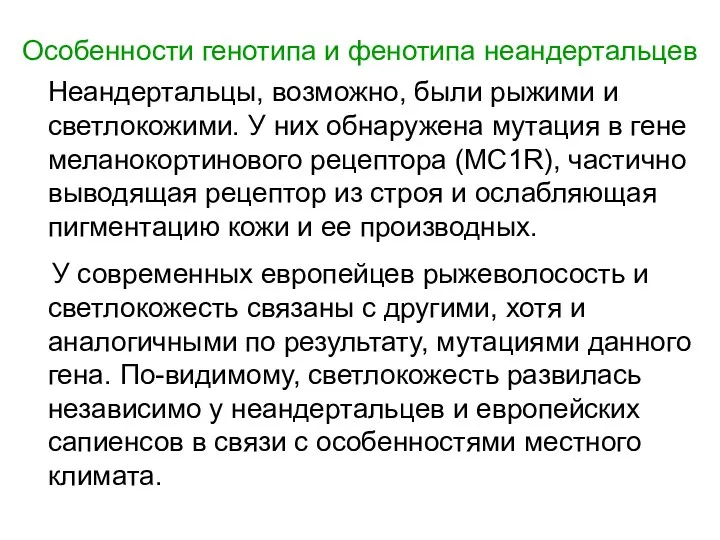 Особенности генотипа и фенотипа неандертальцев Неандертальцы, возможно, были рыжими и светлокожими. У них