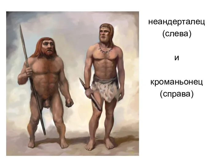 неандерталец (слева) и кроманьонец (справа)