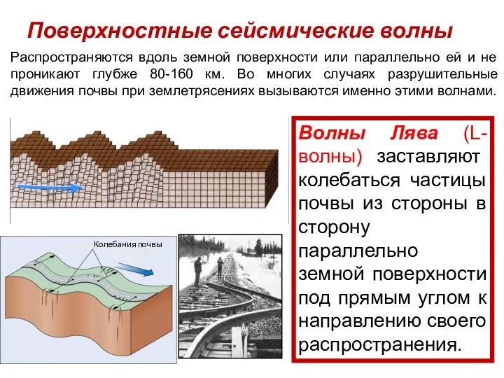 Поверхностные сейсмические волны Распространяются вдоль земной поверхности или параллельно ей