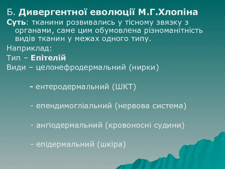 Б. Дивергентної еволюції М.Г.Хлопіна Суть: тканини розвивались у тісному звязку