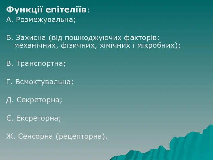 Функції епітеліїв: А. Розмежувальна; Б. Захисна (від пошкоджуючих факторів: механічних, фізичних, хімічних і