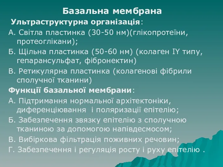 Базальна мембрана Ультраструктурна організація: А. Світла пластинка (30-50 нм)(глікопротеїни, протеоглікани);