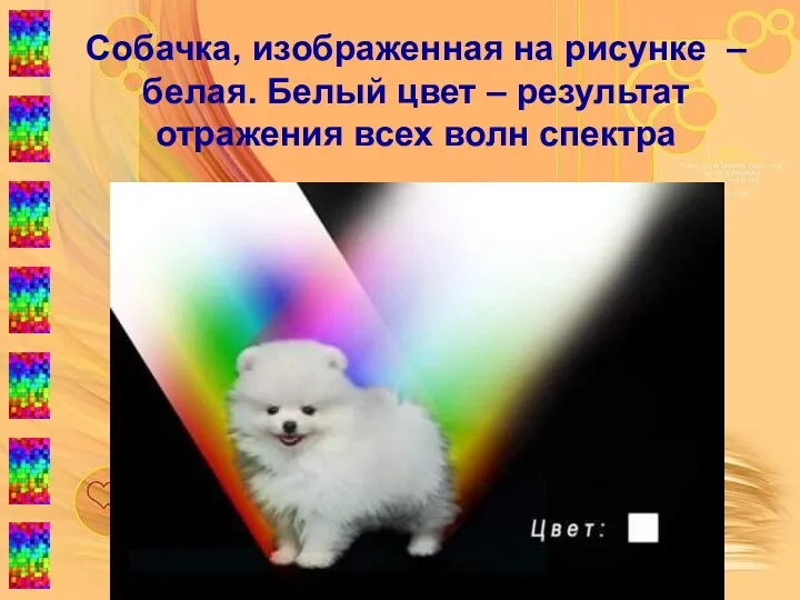 Собачка, изображенная на рисунке – белая. Белый цвет – результат отражения всех волн спектра