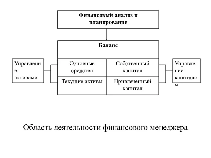 Область деятельности финансового менеджера