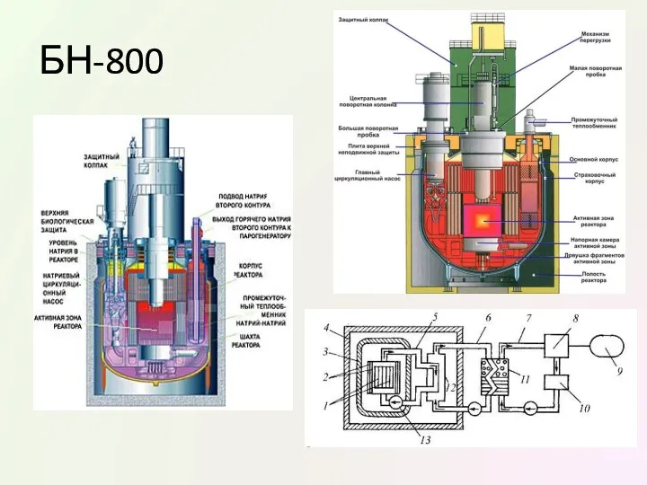 БН-800