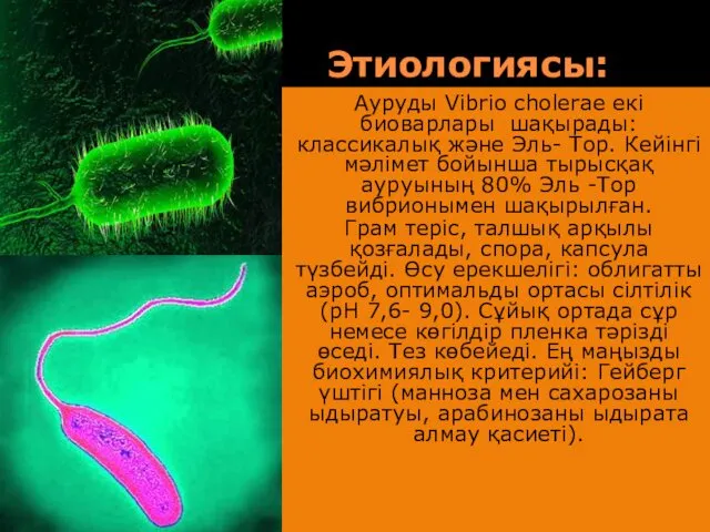 Этиологиясы: Ауруды Vibrio cholerae екі биоварлары шақырады: классикалық және Эль-