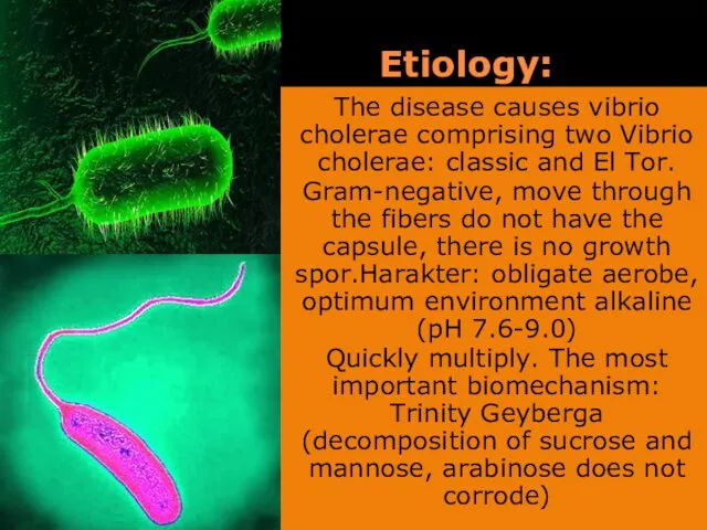 Etiology: The disease causes vibrio cholerae comprising two Vibrio cholerae: