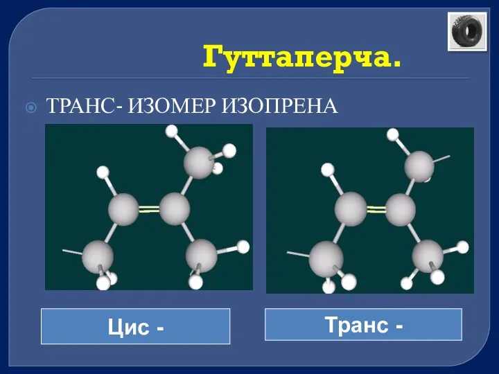 Гуттаперча. ТРАНС- ИЗОМЕР ИЗОПРЕНА Цис - Транс -