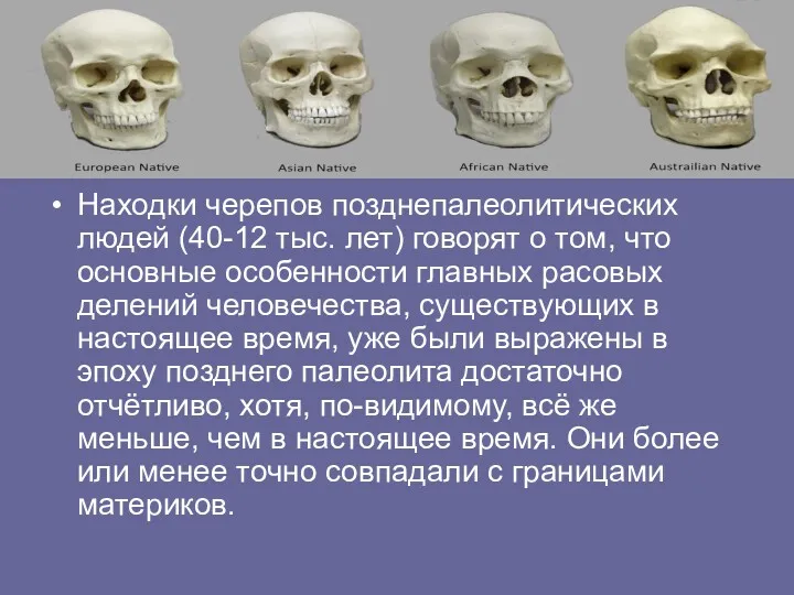 Находки черепов позднепалеолитических людей (40-12 тыс. лет) говорят о том,