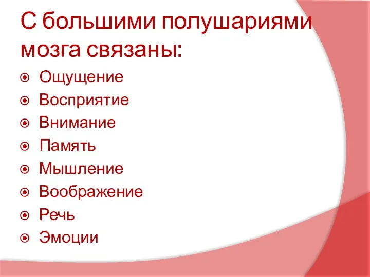 С большими полушариями мозга связаны: Ощущение Восприятие Внимание Память Мышление Воображение Речь Эмоции