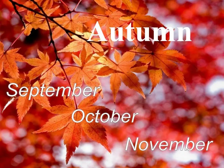 Autumn September October November