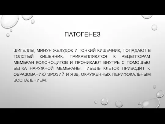 ПАТОГЕНЕЗ ШИГЕЛЛЫ, МИНУЯ ЖЕЛУДОК И ТОНКИЙ КИШЕЧНИК, ПОПАДАЮТ В ТОЛСТЫЙ